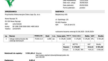 Zbiórka Faktury za leczenie kotów - miniaturka zdjęcia