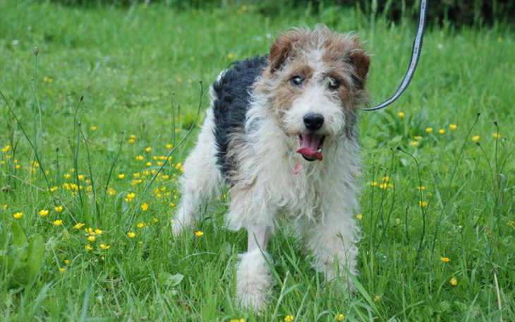 Zbiórka Bambo-trudno trafić mu do miski - zdjęcie główne