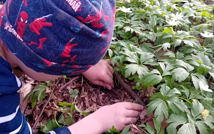 Dziecko bawiące się w ogrodzie, szukające roślin wśród liści.