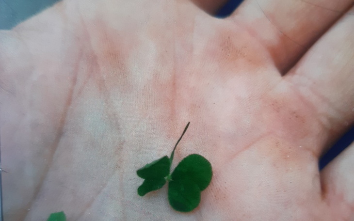 Zbiórka Zbiórka na pomoc dla syna. - zdjęcie główne