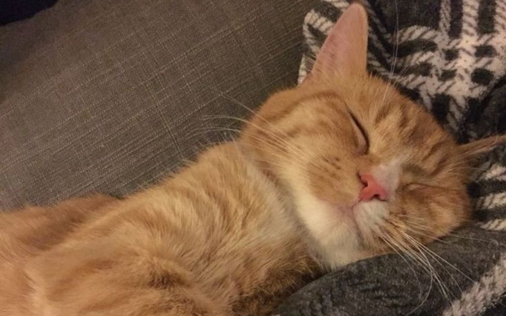 Zbiórka Pieniądze na podręczniki - zdjęcie główne