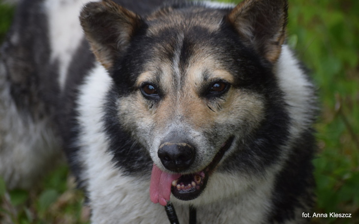 Zbiórka Hotelik Atosa za maj, czerwiec - zdjęcie główne