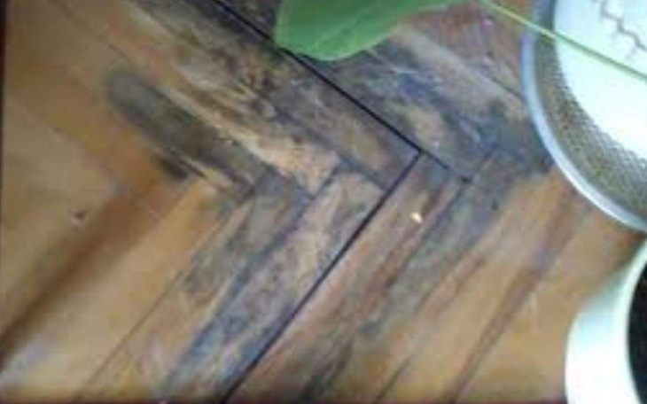 Zbiórka Na remont podłogi ścian itp - zdjęcie główne