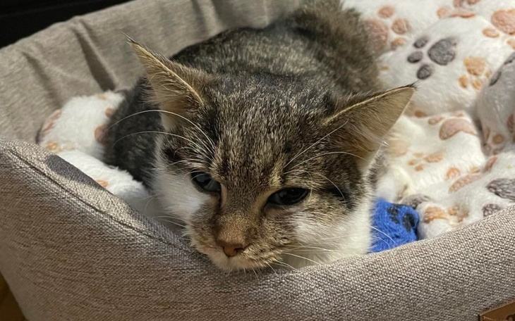 Zbiórka Mija walczy - zdjęcie główne