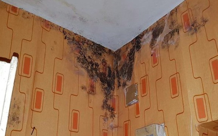 Zbiórka Na godne życie dzieci i ich mamy - zdjęcie główne