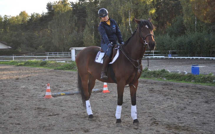 Zbiórka Zbiorka na leczenie Manixa - zdjęcie główne