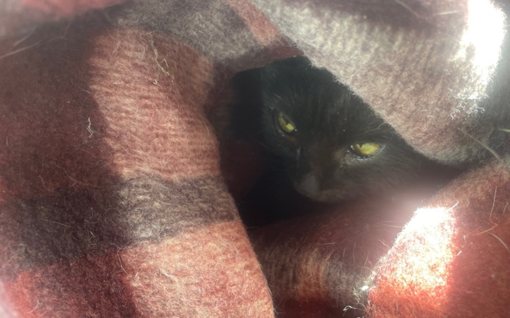 Zbiórka Zbiórka dla bezdomniaka - zdjęcie główne