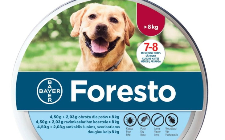 Zbiórka Zabezpiecz Labka w potrzebie. - zdjęcie główne