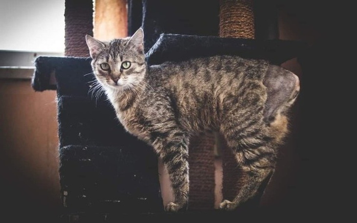 Zbiórka Szprotka walczy o  lepsze życie - zdjęcie główne