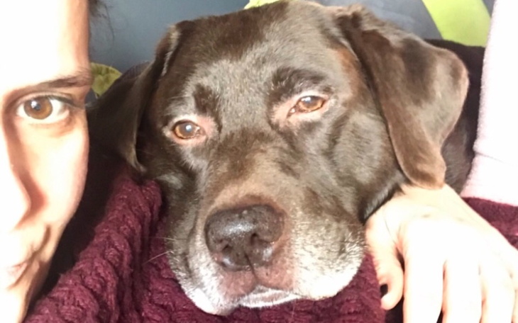 Zbiórka Na zdrowie, Bandito - zdjęcie główne