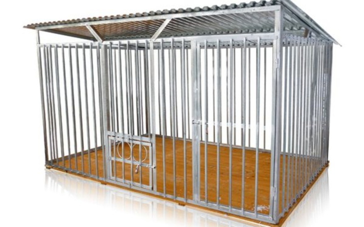 Zbiórka Szczeniaczki potrzebują kocja - zdjęcie główne