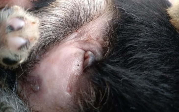 Zbiórka Pomoz mi chce zyc:( - zdjęcie główne