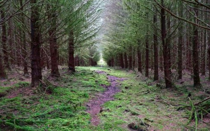 Zbiórka Na spełnienie moich marzeń. - zdjęcie główne