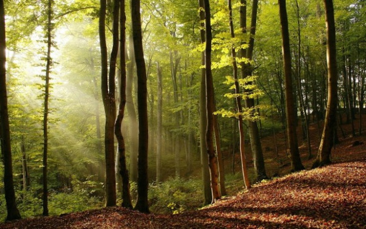 Zbiórka Nowy aparat do robienia zdjęć - zdjęcie główne