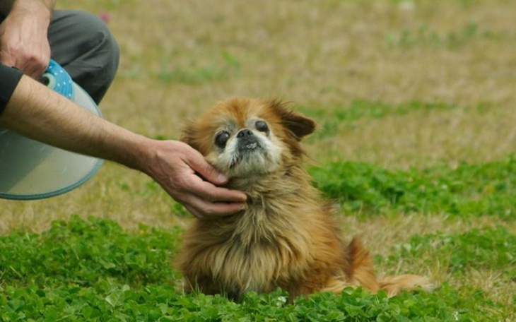 Zbiórka 5 kg smutku i cierpienia - zdjęcie główne