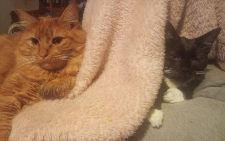 Zbiórka Ciepłe doopki - zdjęcie główne