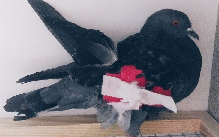 Rodzina w świątecznym otoczeniu, z choinką w tle.