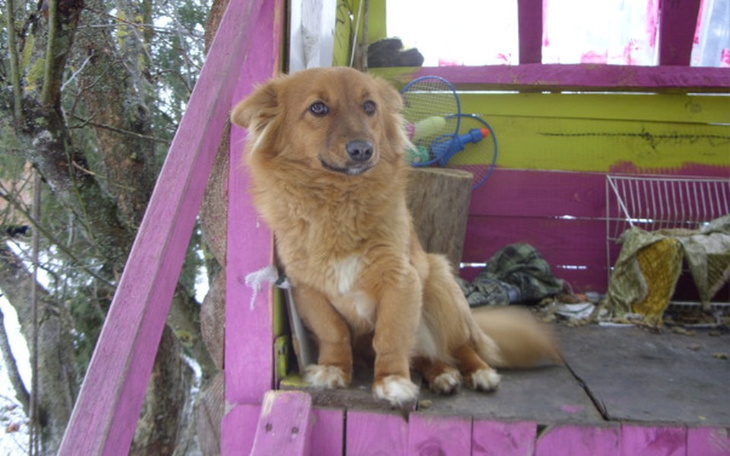 Zbiórka Chciał bym mieć nowy  mikrofon - zdjęcie główne