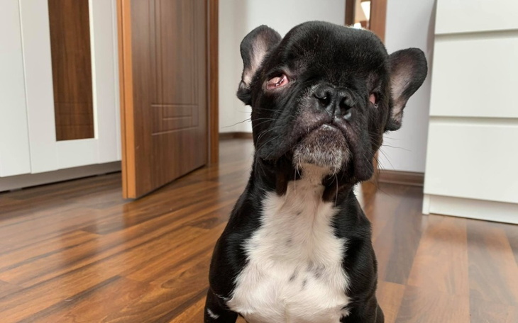 Zbiórka Morty chce żyć - zdjęcie główne