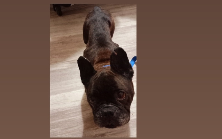 Zbiórka NORA prosi o wsparcie - zdjęcie główne