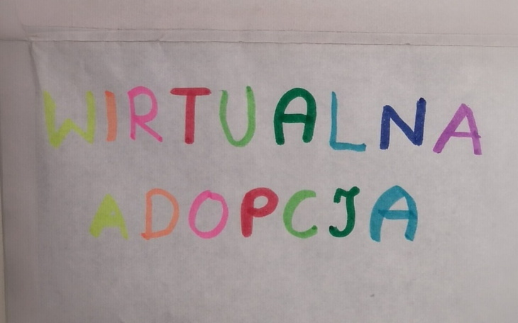 Zbiórka WIRTUALNA ADOPCJA moich działań - zdjęcie główne
