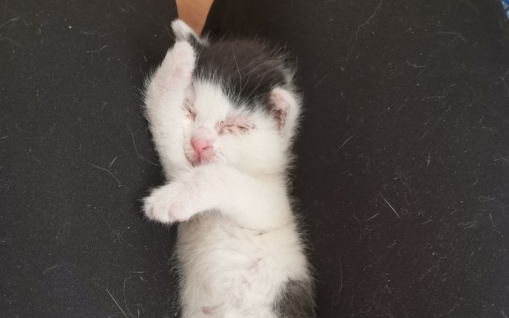 Zbiórka Okno zycia - zdjęcie główne