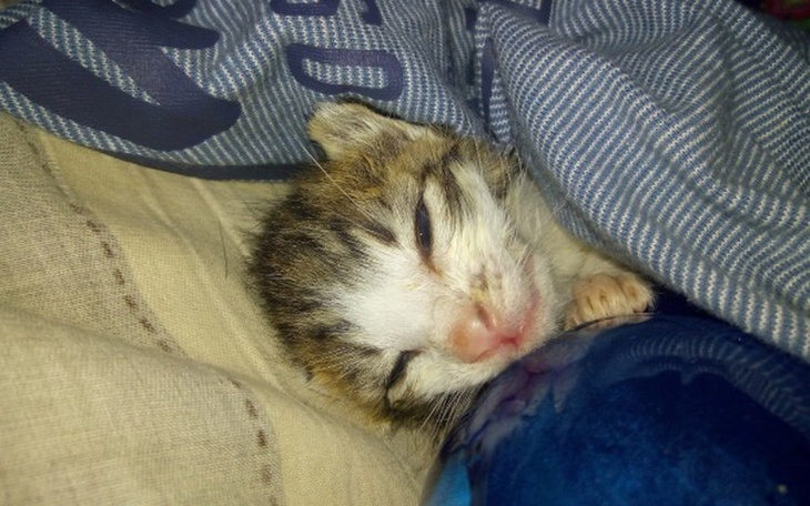 Zbiórka Ratujemy malutkiego wojownika - zdjęcie główne