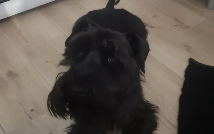 Zbiórka Na leczenie Karata z UA - zdjęcie główne