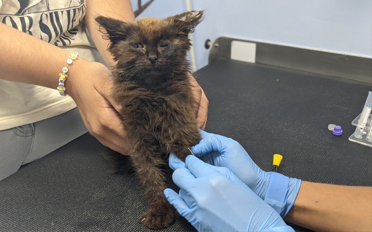 Zbiórka Od śmierci dzieliły go godziny - zdjęcie główne