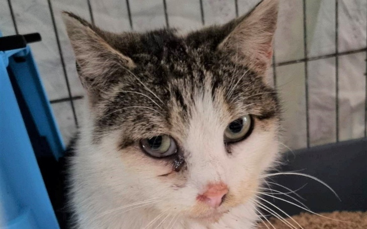 Zbiórka KsB kontra Kryzys - zdjęcie główne