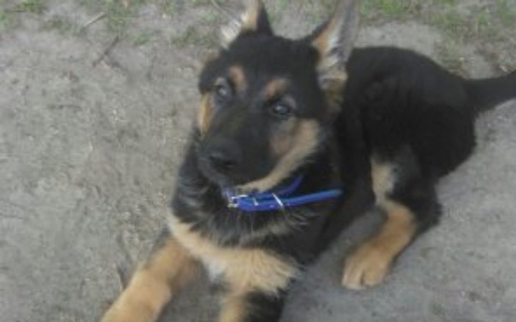 Zbiórka Na imprezowanie !!! - zdjęcie główne