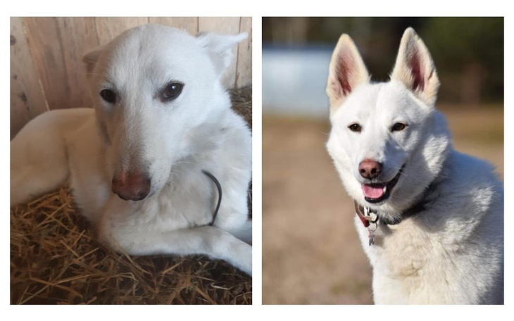 Zbiórka Gdybyś mógł nam pomóc 1 zł.. - zdjęcie główne