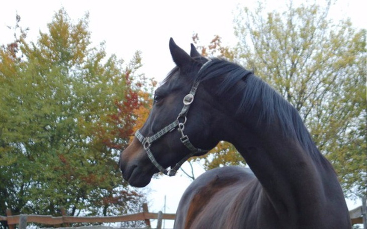 Zbiórka Bora pozbywa się lokatora - zdjęcie główne