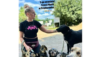 Zbiórka Trzeci Piknik w Przyborówku - bezdomne zwierzaki zapraszają! - miniaturka zdjęcia