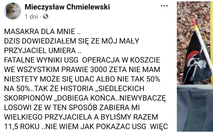 Zbiórka Poczuj magie Świąt ... - zdjęcie główne