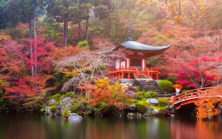 Zbiórka Wycieczka do Japoni - zdjęcie główne