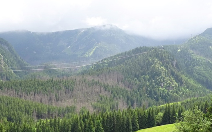 Zbiórka Wyjazd za Granicę do Pracy, - zdjęcie główne