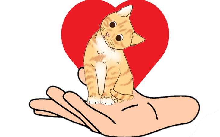 Zbiórka Ratuj zdrowie i życie zwierząt. - zdjęcie główne