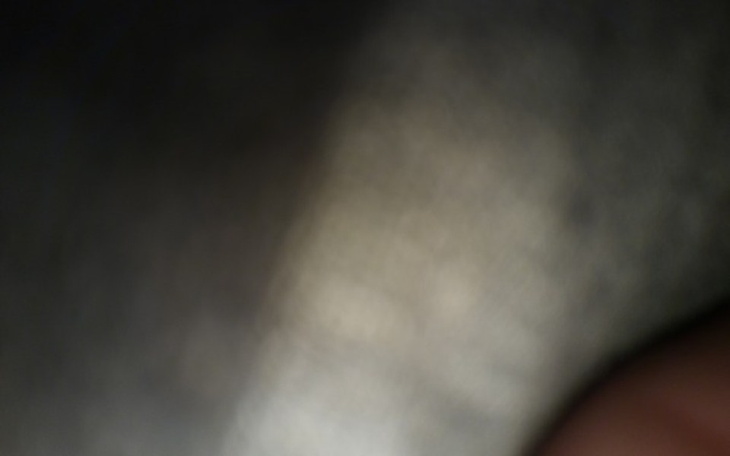 Zbiórka Walczę Do Końca - zdjęcie główne