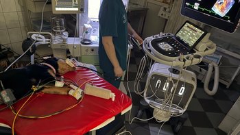 Zbiórka 🆘Antosia potrzebuje operacji🆘 - miniaturka zdjęcia