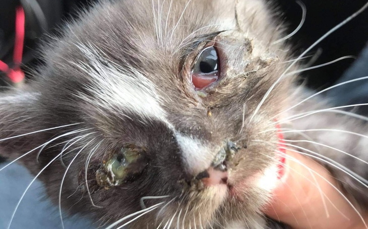 Zbiórka Skazane na śmierć.. - zdjęcie główne