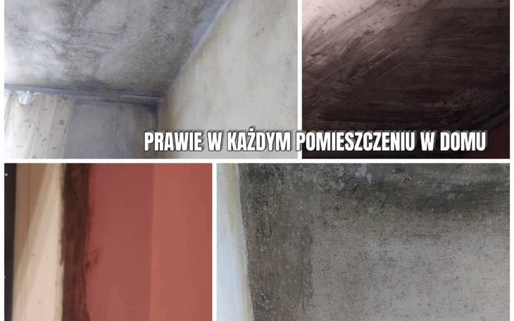 Zbiórka Na ocieplenie i odgrzybianie dom - zdjęcie główne