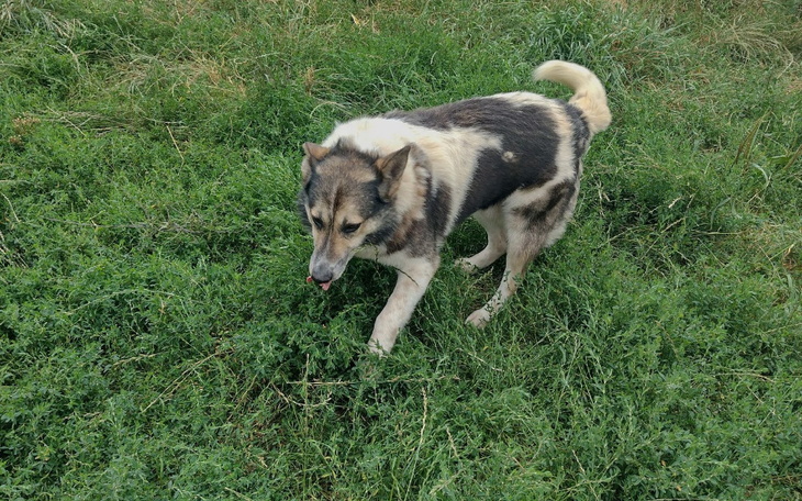 Zbiórka Kolejny miesiąc Atosa w hotelu - zdjęcie główne