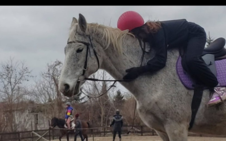 Zbiórka pomoc w dzierżawie konia - zdjęcie główne