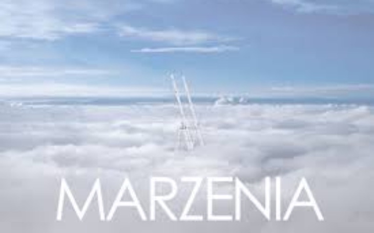 Zbiórka Na wspaniałe marzenia.. - zdjęcie główne