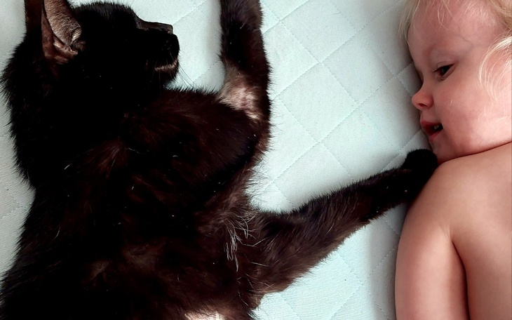 Zbiórka Czarny zbiera na spłatę leczenia - zdjęcie główne