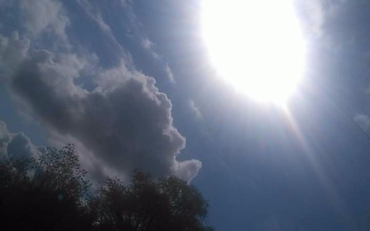 Zbiórka Zbiórka dla WOŚP #Amelia - zdjęcie główne