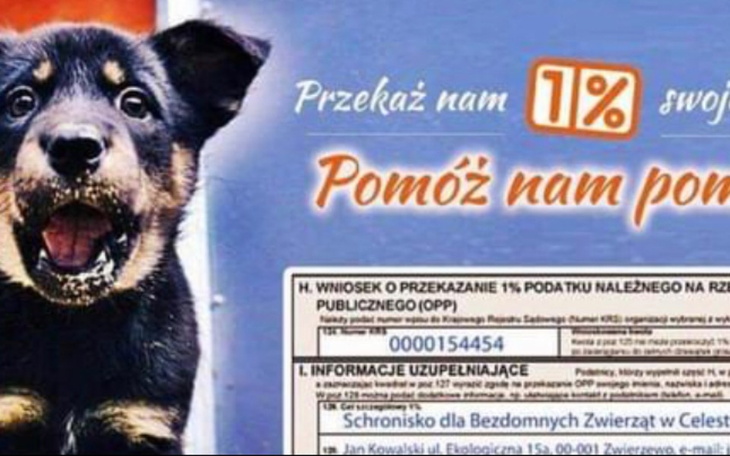 Zbiórka Na Schronisko do Celejowa - zdjęcie główne