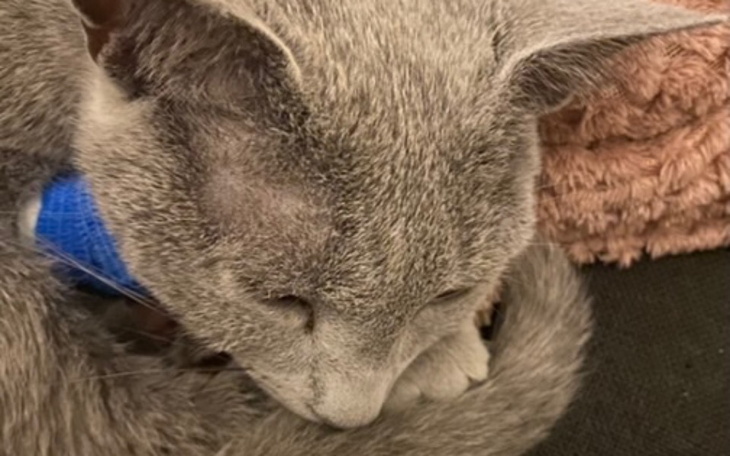 Zbiórka Wsparcie dla Kobiego - zdjęcie główne