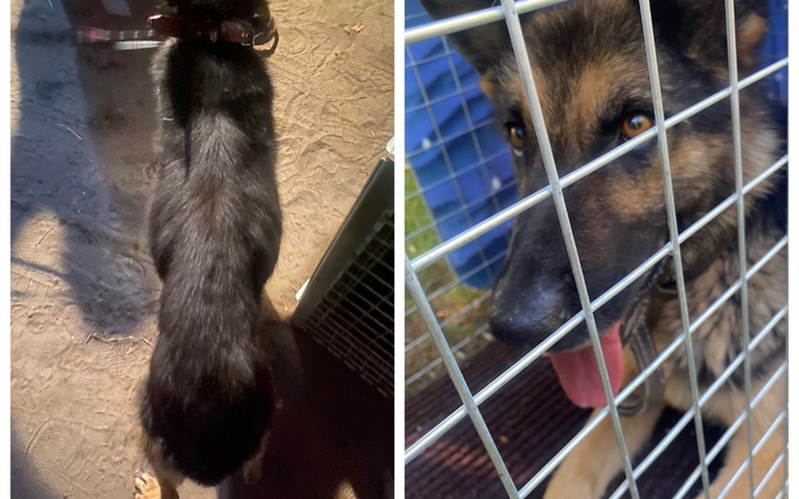 Zbiórka Jagna. - zdjęcie główne